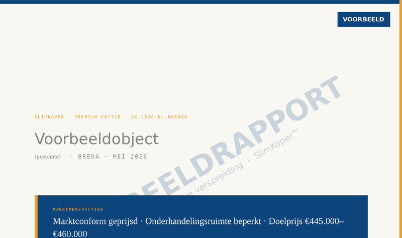 Voorbeeldrapport Breda — kerncijfers